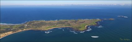 Philip Island Nature Park - VIC (PBH3 00 34653)